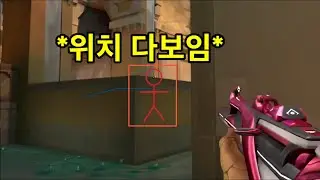 합법 ESP