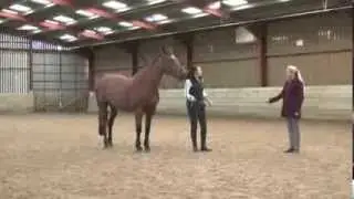 Straightness Training Clinic in the UK with Marijke de Jong