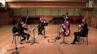 Michael Haydn Divertimento in D major