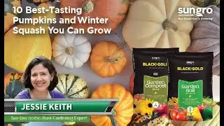 Top 10 Best Tasting Winter Squash with Black Gold&reg;