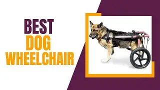 10 Best Dog Wheelchairs in 2023 | TOP 10 Review Zone