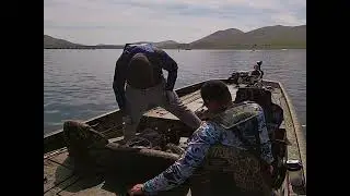 Bass Jumps Out of Livewell to Attack Angler Who Caught It!! ( Revenge )