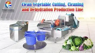 Automatic Vegetable & Fruit Cutting Washing Production Line, Salad Vegetable Processing Machine.