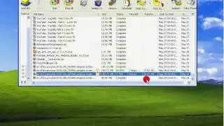 Download Multiple files from Hotfile with Full Speed without Premium Account - III
