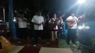 TIARIS Quizas Quizas Quizas