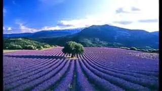 Beautiful Provence - Prowansja