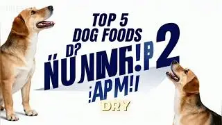 Top 5 Best Organic Dog Foods On Amazon