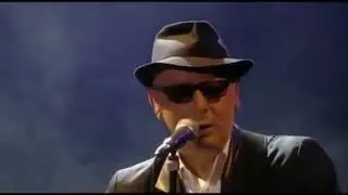 Bashung Angora + Nights in white satin