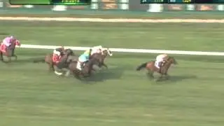 2015 United Nations Stakes - Big Blue Kitten