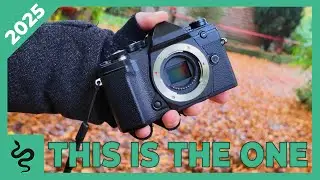 OM System OM-5 | My Favorite Travel Camera | Review