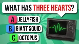 Plants & Animals Trivia Quiz | Robot Trivia Party