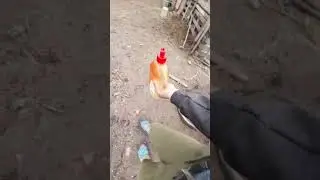 KIS AUT&Oacute; MOS&Aacute;S PLUS BICIKLI