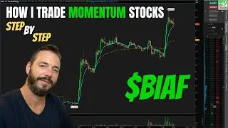 $BIAF Hitting My HACKED (Free) Warrior Trading Momentum Scanner TOS