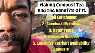 Compost Tea Magic: Feed Your Soil & Boost Microbial Life!