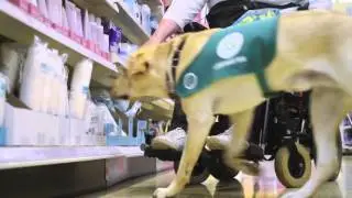 Meet assistance dog partnership Linda and Obi | Dogs for Good