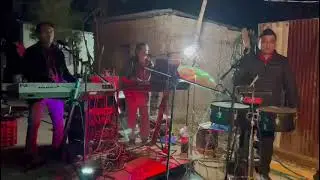 Pájaro marinero - Epidemia digital 28 de diciembre 2023