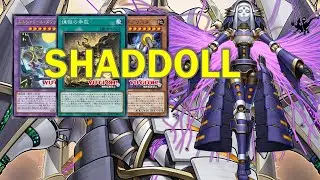 [NEW] SHADDOLL deck Nov.2025 | Post Terminal World 3
