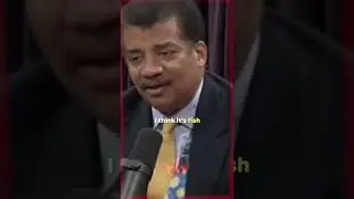 Joe Rogan and Neil DeGrasse: Fish or Fishes?