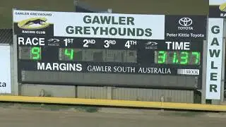 Gawler-18012026-Race-9