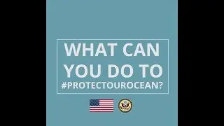 June 8 is World Oceans Day. #ProtectOurOcean