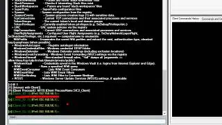 SimpleC2 Server by C# [integrated with Seatbelt]