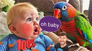 Babies Doing The Funniest Things👶Try Not To Laugh - Cute Baby Videos || COOL PEACHY trending video