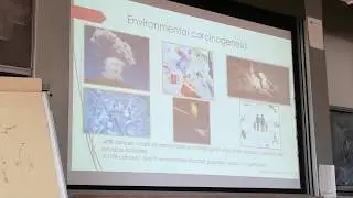LAMMI Metabolic reprogramming in environmental carcinogenesis