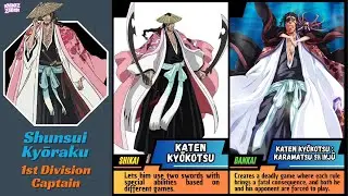 Bleach: All Gotei 13 Captains Shikai & Bankai After Thousand Year Blood War Arc #anime #bleach #tybw