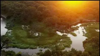 Mababe River Private Reserve | Botswana