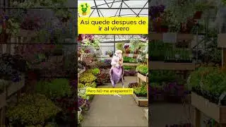 As&iacute; quede desp&uacute;es de ir al vivero..... #meme #memes #memedeldia #suculentasconamor