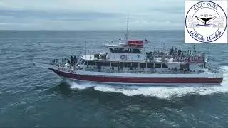 Nearly 200 summer day campers from Aberdeen Nj whale watching Tour