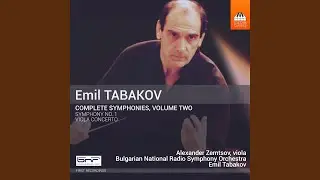 Viola Concerto: I. Largo - Pi&ugrave; mosso - Largo
