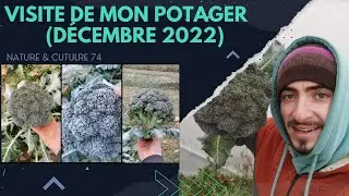 Le POTAGER en D&eacute;cembre 2022 (Quels l&eacute;gumes pour l'hiver ? Que semer au jardin ?)