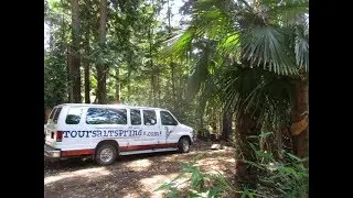 Gallery 59 / Exotic Gardens on Salt Spring Island Tour route