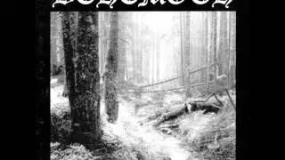 Behemoth - Sventevith (Storming Near the Baltic)