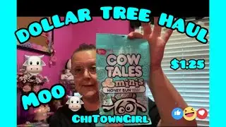 DOLLAR TREE HAUL | SO MANY COOL THINGS 5.21.24 #chitowngirl #dollartree #dollartreehaul #haul