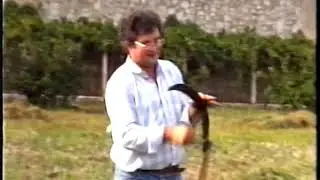 FRA DRAGO LJEVAR KOSI U KRAJU 15.  IX.  1988.