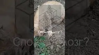 Сломала мозг? #сломалаяваммозг? #мозг #сломала?#кот #Лео #котиклео