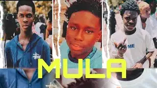 Starking DM x HomeBoy x Jaell - Mula ( Official Music Audio)