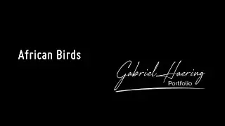 African Birds.From Botswana, Zimbabwe, Kenya and Tanzania.