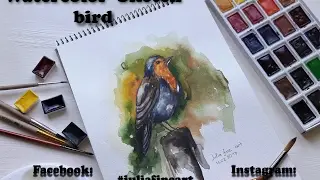 Bird || watercolor sketch || Julia fine art
