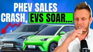 BYD&rsquo;s First Double Monthly Flatline Since 2020 - China Sales Shrink 14%