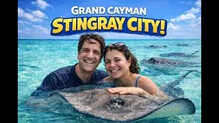 Stingray City Experience: Grand Cayman’s Famous Sandbar Rays
