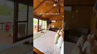 Beachfront Bungalow