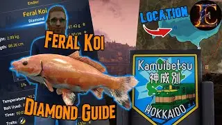How to catch a DIAMOND FERAL KOI | The Angler