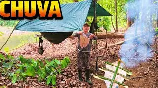 Encontro com Porcos Selvagens na trilha Chuva  Pesca de Trair&atilde;o e Jacar&eacute; Perto do Acampamento