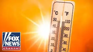 'Cool first, transport second': Expert shares surprising tip to keep kids safe in heat