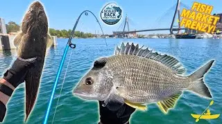 Fish Market Frenzy! Flathead & Bream Smash Lures | Kayak Trolling Rozelle & Blackwattle Bays 🎣🛶