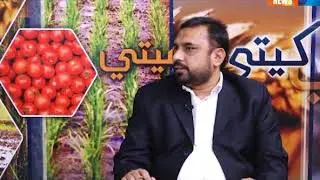 Kheti Sar Seti - 22 January 2019