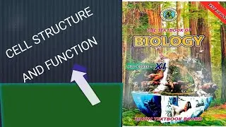 3.9.Endoplasmic Reticulum/Cell Structure And Function Class 11th Biology Sindh Board 